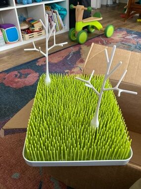 large boon drying grass and white trees